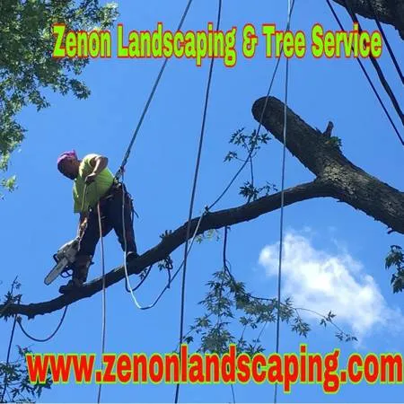 Компания Zenon Landscaping & Tree Service