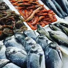 Katerina's Fish Market