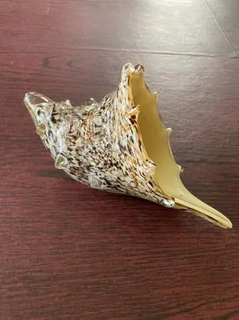Морская раковина, выдутая вручную