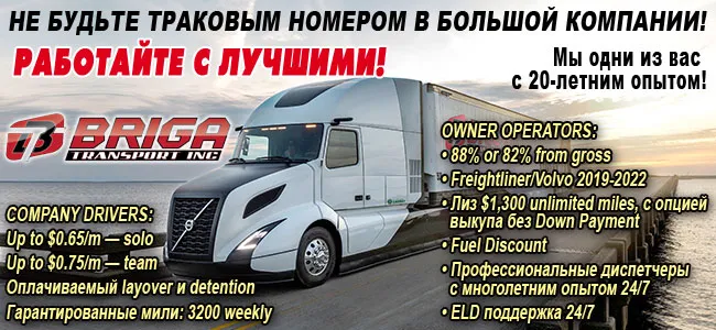 briga6-С.jpg