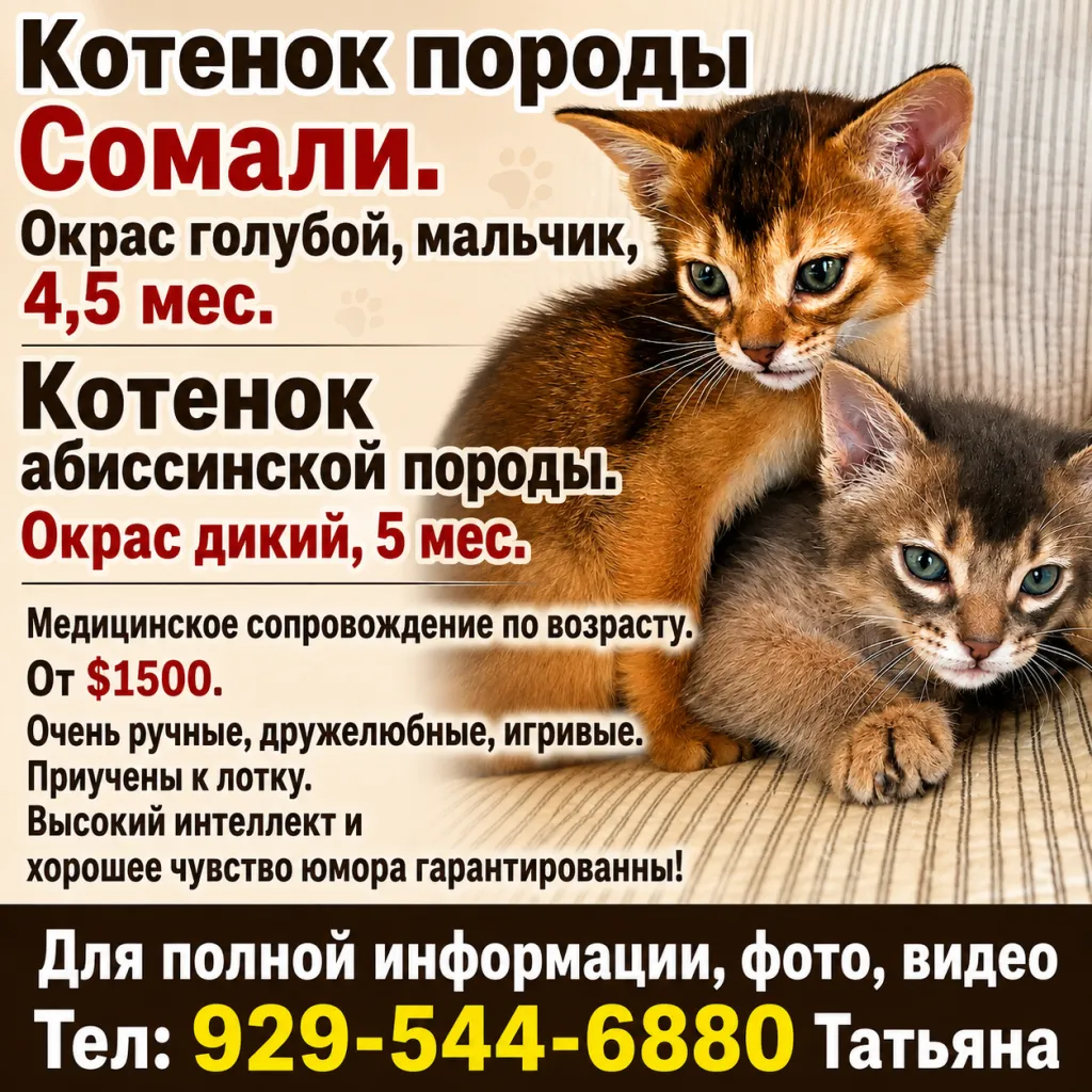 ChatGPT Image 21 авг. 2026 г., 15_53_44.png ChatGPT Image 21 авг. 2026 г., 15_53_44.png
