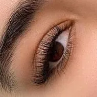 LASHES & BROWS - LOS ANGELES