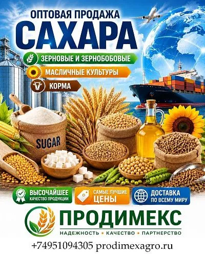 Сахар, зерновые и зернобобовые, масличные культуры, корма