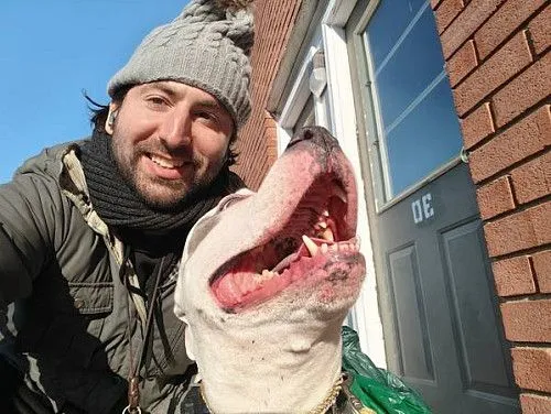 Услуги выгула собак и присмотра за домашними животными от Mark's Paw Pals Parsippany теперь доступны!