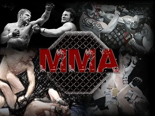 MMA lessons | Уроки по ММА
