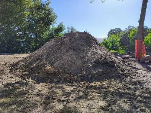 Бесплатная доставка без грязи.