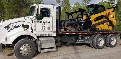ShadowCat - Лесозаготовительные работы: мульчирование, расчистка земель, работа с кустарником, рысью.