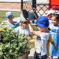 Children’s Land, Детские Садики