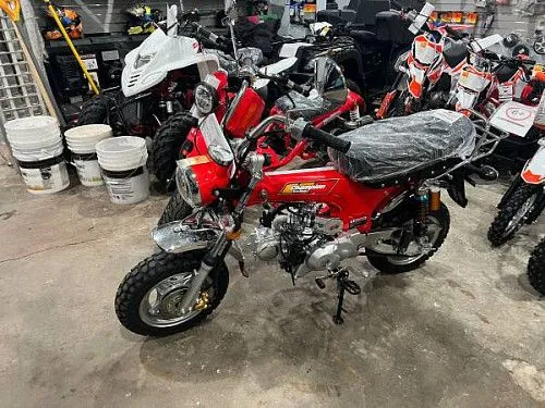 IceBear CHAMPION LX (PBZ125-2P) 125 куб. см, 2025 год выпуска, полуавтоматическая коробка передач.