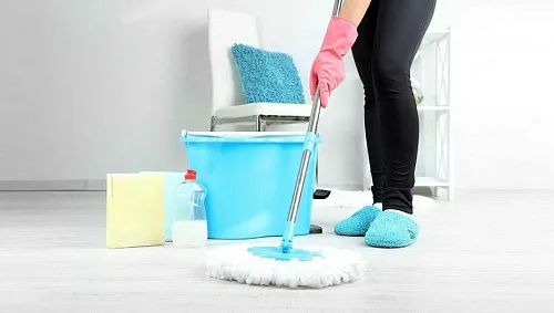 Olga, Cleaning of apartments and houses