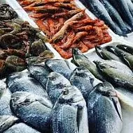 Katerina's Fish Market