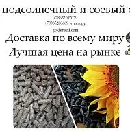 Шрот подсолнечный и соевый оптом от производителя ГК Юг Руси