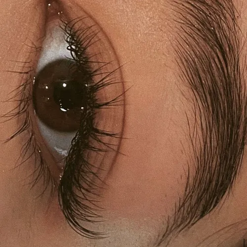 LOS ANGELES LASHES BY DI