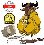 GNU/Linux Hippy CompTIA A+ IT Services ~ Сертифицированный специалист