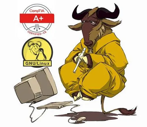 GNU/Linux Hippy CompTIA A+ IT Services ~ Сертифицированный специалист