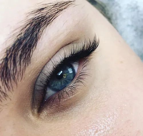Anna Oliveri | Lash