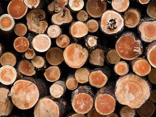 Timber companies
