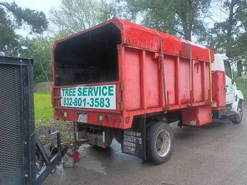 Ed treeservices 281 780 7768 ?? ?