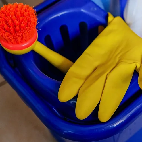 CleanHouse