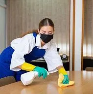 Vlad, Cleaning Services