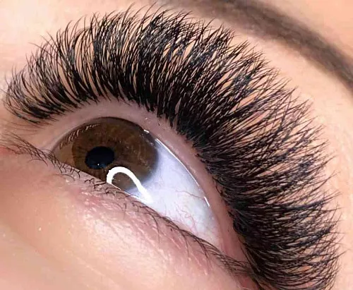 Lashmaker Lesya Rolska
