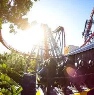 Busch Gardens Tampa Bay