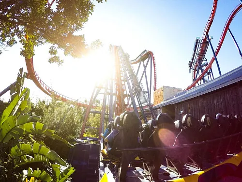 Busch Gardens Tampa Bay