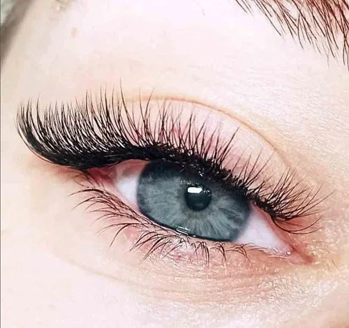 Lash extension masters