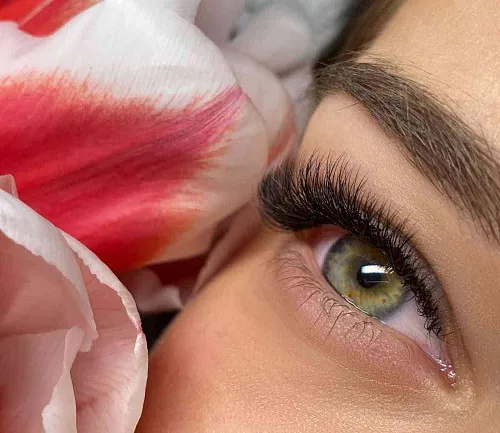 Eyelashes/Brow