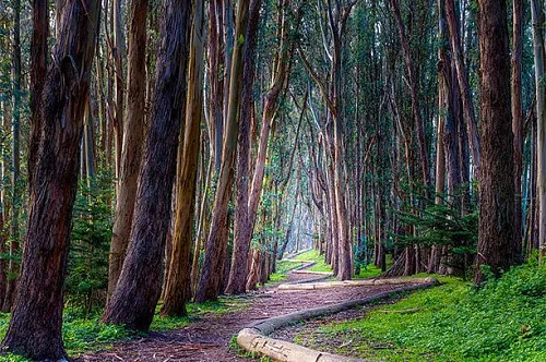 Аллея Lover's Lane