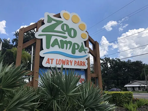 Зоопарк Тампы (ZooTampa at Lowry Park)