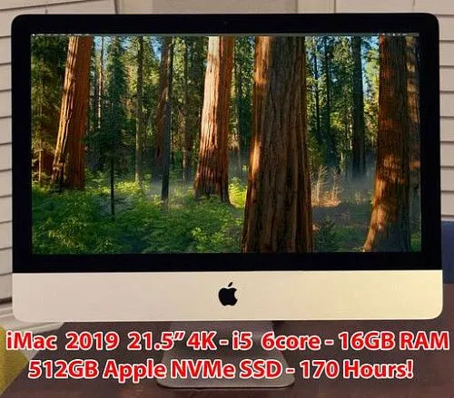 iMac 2019 21,5" 4K - 512 ГБ SSD NVMe - 16 ГБ ОЗУ