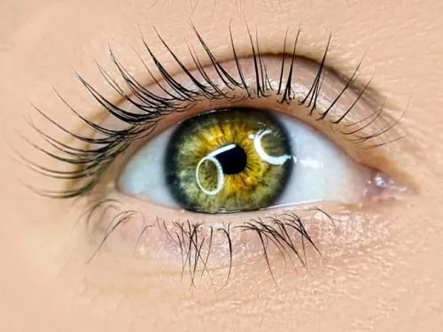 Eyelash Extension Specialist - Yulia