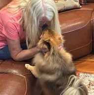 Уход за домашними животными на дому/район Сакраменто