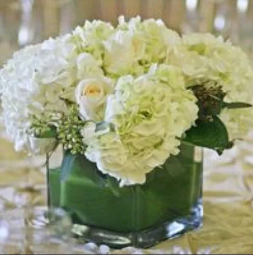 West Hollywood Florist