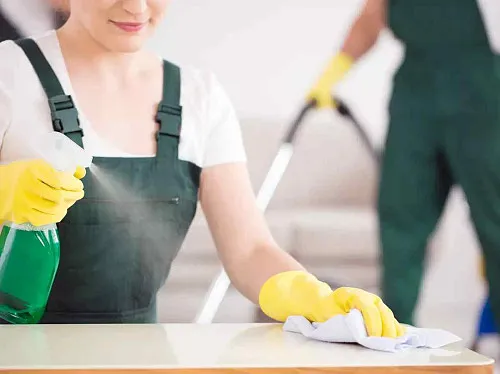 Professional Cleaning