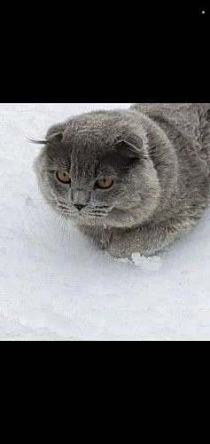Отдам бесплатно хороше руки 