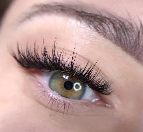 Eyelashes • Brows | San Diego