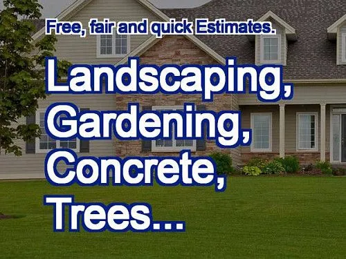 Компания MENDOZA Landscaping занимается ландшафтным дизайном, садоводством, бетонными работами, посадкой деревьев и многим другим.