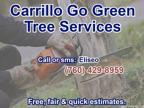 Компания Carrillo Tree Specialist предлагает услуги по удалению и обрезке деревьев, ландшафтному дизайну и другим работам.
