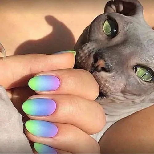 Салон маникюра/педикюра The Best Nails & Designs