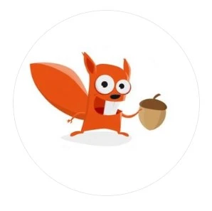 Motion Design Squirrel