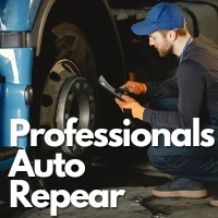 Professionals Auto Repair