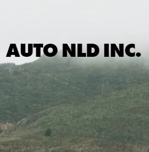 Auto NLD Inc