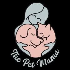 Petmama, Домашняя Передержка Собак