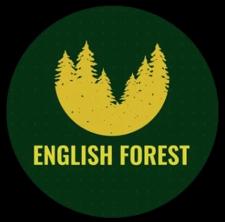 English Forest