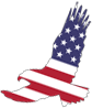1611-19-LOGO.png