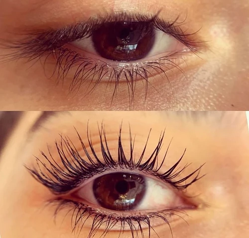 Luna Lash - Brow and Lashes
