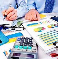 София Мильштейн - Tax Preparer