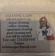Cleaning lady professional